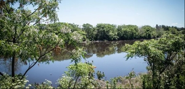 Aprobaron la creación de la primera reserva natural de San Martín