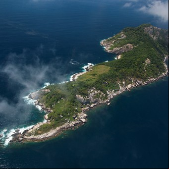 Este país de Sudamérica tiene una isla tomada por serpientes venenosas y está prohibido el ingreso: no es Argentina