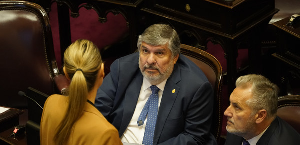 Ahora también se cayó la sesión en el Senado y sigue vigente el DNU de la deuda