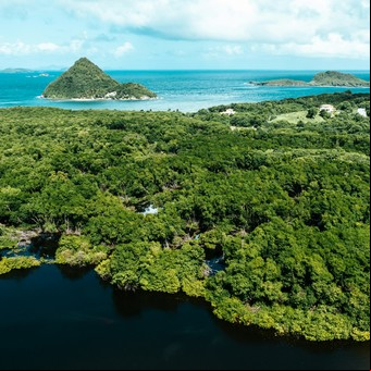 Ranking: estos son los 15 países con más biodiversidad en el mundo