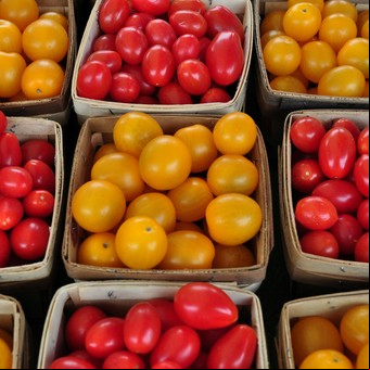 Cuánto se demora en dar fruto el tomate cherry, según expertos en siembra