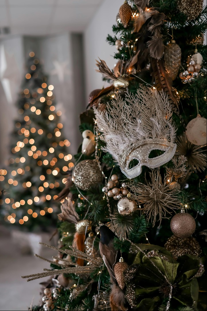 Según el Feng Shui, un árbol equilibrado en decoración refuerza la energía positiva del hogar.
Foto: Pexels.
