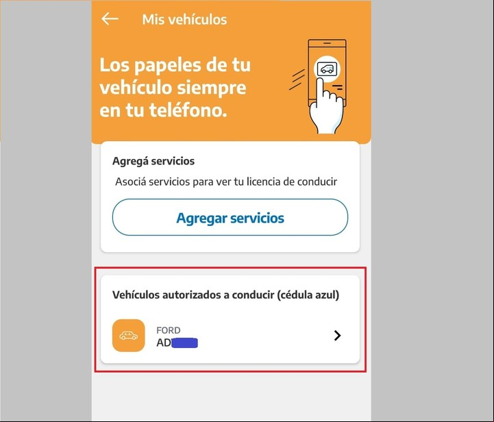 El permiso, en el perfil de Mi Argentina del autorizado. Imagen: Captura.