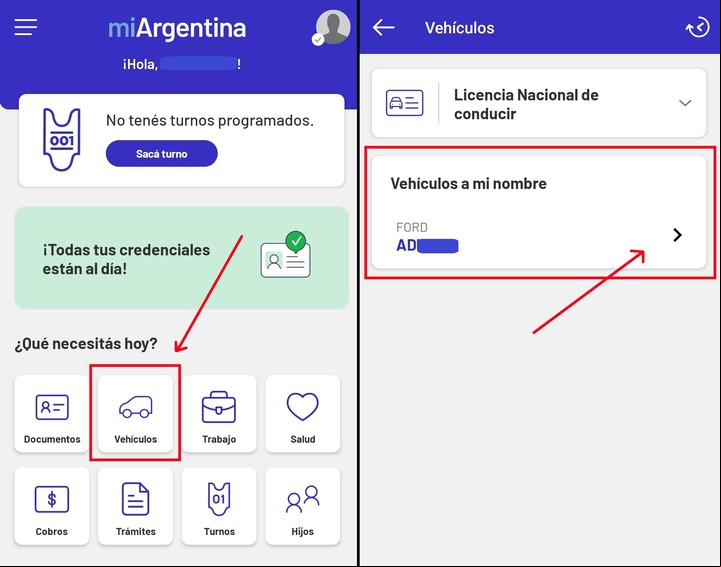 El inicio del trámite, tal como se ve en pantalla. Imagen: Capturas.