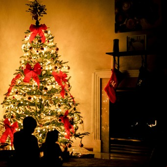 ¿Un árbol de Navidad gigante en tu casa? Descubrí el truco viral para hacerlo posible