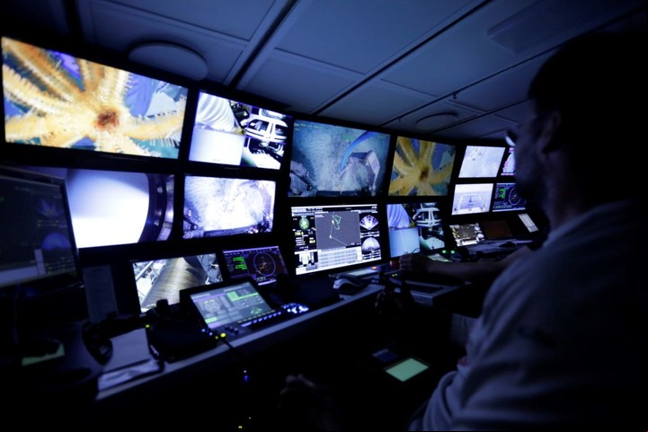 Las montañas submarinas de Chile son un laboratorio natural para estudiar la interacción de fuerzas tectónicas y biodiversidad. Foto: Schmidt Ocean Institute.