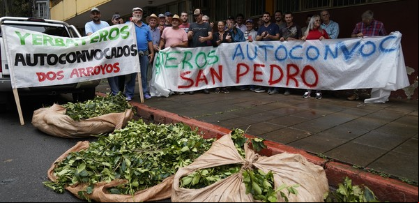 “Estamos más cerca que nunca de un tractorazo": crece la bronca de los yerbateros por el bajo precio que reciben de su producción