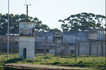 Trasladan de Punta del Este a Montevideo a los 7 detenidos por vender droga y se supo qué pena podrían tener