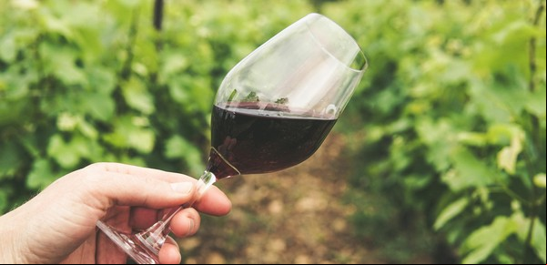 Las 10 bodegas top de Argentina para visitar: ranking de las mejores según expertos internacionales