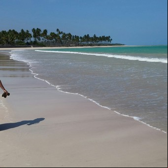 Cuáles son las mejores playas de Brasil, según la Inteligencia Artificial