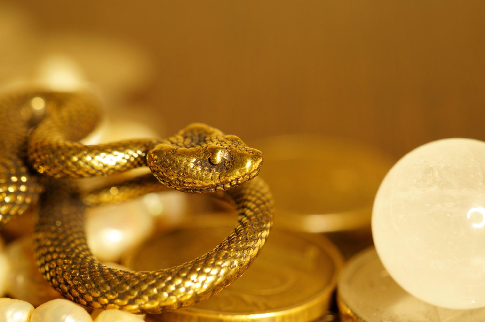 La Serpiente, el sexto animal del zodiaco chino, simboliza la intuición, la cautela y el sigilo. Foto: ilustración Shutterstock