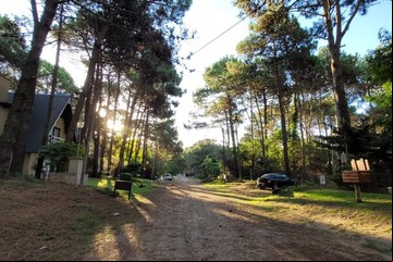 Un bosque de pinos bañado por el mar: conocé el destino de la Costa Atlántica que enamora a todos los turistas