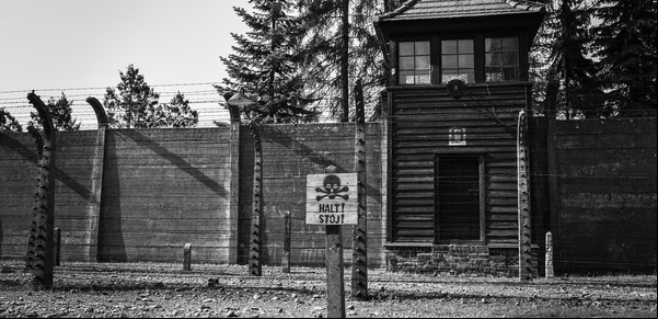 Qué fue el Holocausto: su impacto, causas y lecciones para la humanidad