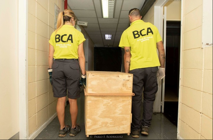 El traslado, a cargo de la Brigada de Control Ambiental.