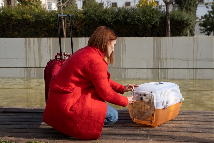 Es fundamental acostumbrarlo al transportín con anticipación y evitar el uso de sedantes. Foto: Freepik.