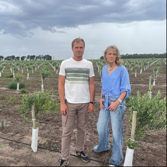 Para ganar estabilidad recuperaron la ganadería y de casualidad llegaron al aceite de oliva
