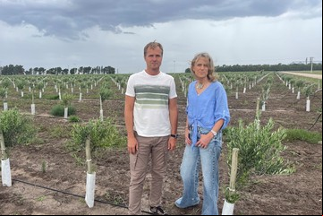 Para ganar estabilidad recuperaron la ganadería y de casualidad llegaron al aceite de oliva