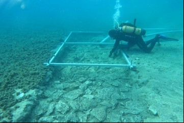En este país se encontró una antigua ruta submarina: cuántos años tiene y cuál es su riqueza histórica