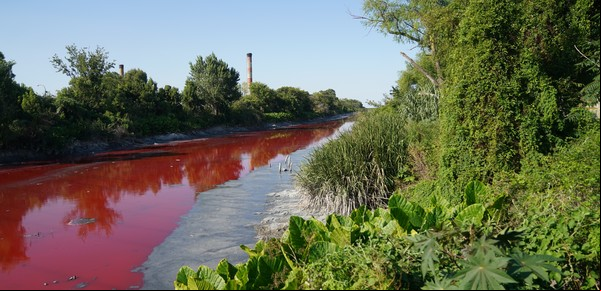 Avellaneda: el arroyo Sarandí presentó un alarmante color rojo y hay preocupación entre los vecinos