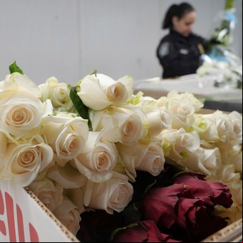Llegaron 940 millones de flores a Miami para San Valentín