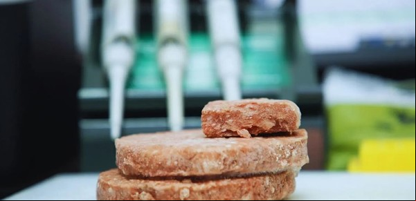 Alto contenido de proteínas y bajos niveles de grasa: las hamburguesas que demostraron su alto valor nutricional