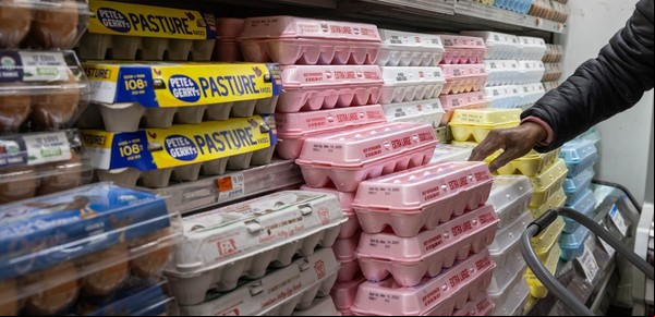Ante el precio desorbitado de los huevos, los estadounidenses se lanzan a criar gallinas en casa