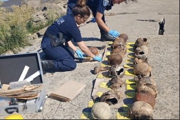 De dónde los sacaron y para qué usaron a los 24 cráneos aparecidos en la costa de Quilmes