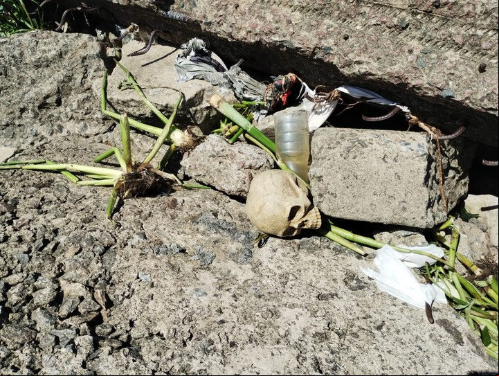 Cráneo encontrado en la ribera de Quilmes el 6 de febrero.