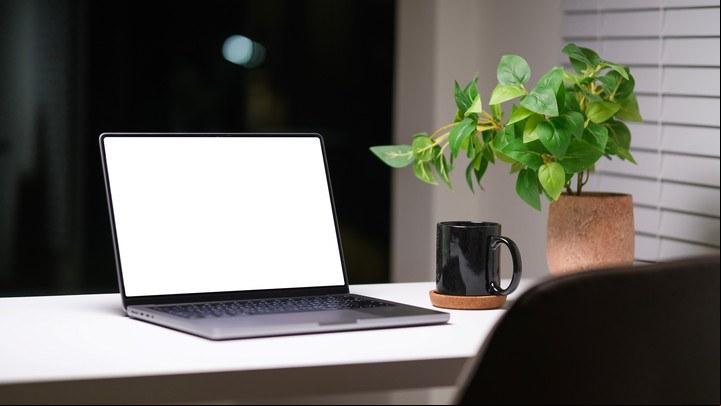 En el escritorio, usá plantas de hojas redondeadas que apunten hacia arriba y no desciendan. Foto: ilustración Shutterstock