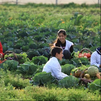 Por una alimentación saludable