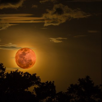 Eclipse lunar total de marzo 2025: cuál es la propuesta energética de este fenómeno cósmico
