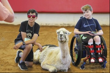 Whitetop, la llama más vieja del mundo que ayuda a niños con enfermedades crónicas