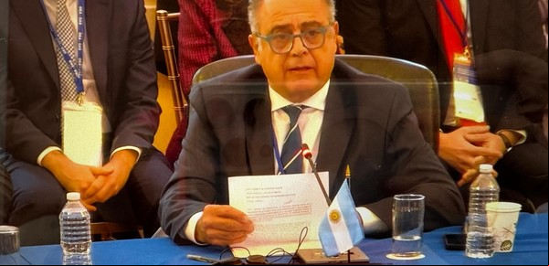 El reemplazante de Sonia Cavallo debutó en la OEA y pidió por el gendarme detenido y los asilados en la embajada en Venezuela