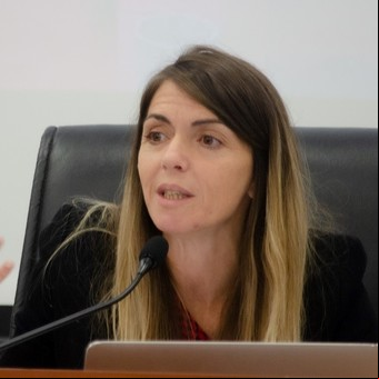 El Gobierno denunciará en la Justicia y el Consejo de la Magistratura a la jueza Karina Andrade por la veloz liberación de los detenidos