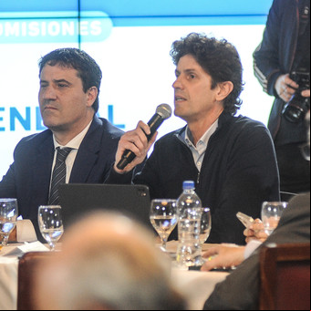 Bronca, reproches y acusaciones de destitución tensionan la interna radical en el Senado