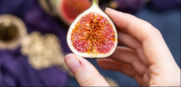 Frutas en tu balcón o terraza: 5 árboles que crecen en macetas sin problemas