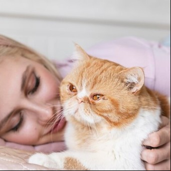 Esta es la verdadera razón por la que un gato elige dormir con su dueño: cuáles son los beneficios para su salud
