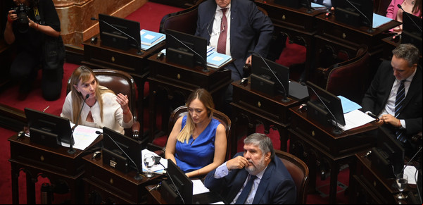 Nuevo quiebre en el PJ: cuatro senadores armaron un bloque propio contra el liderazgo de Cristina Kirchner 