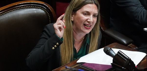 Qué hay detrás de Ficha Limpia y por qué puede afectar a Cristina, Milei y Macri