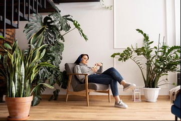 Estas 3 plantas colgantes van a traer armonía y buena suerte a tu hogar: dónde ubicarlas y cuáles son sus cuidados