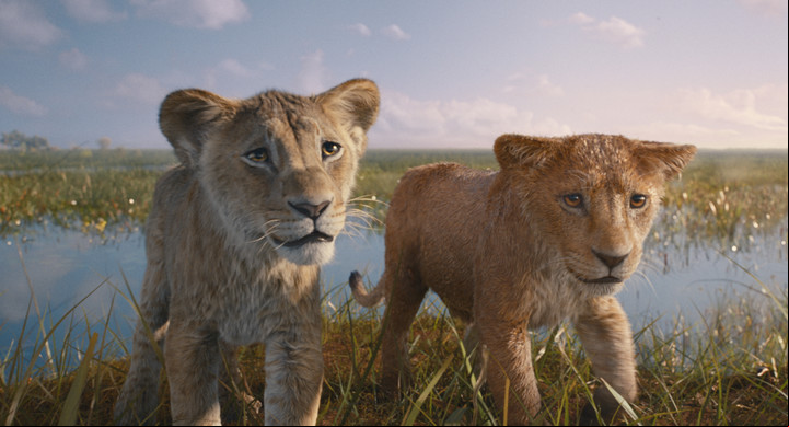 Mufasa, de cachorro, es tan adorable y aguerrido como conocimos a su futuro hijo, Simba. Fotos Disney