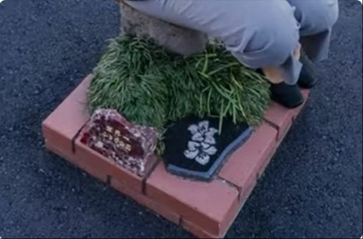 Consta de una minúscula parcela de césped, un par de placas de piedra y un taburete para que los visitantes se sienten y iren el entorno (Guinness Records).