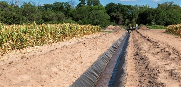 “Fabrican” agua y producen semillas de mayor calidad y menor huella ambiental