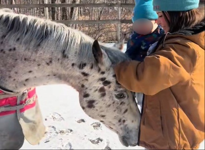 El caballo olfateó el vientre de la joven. Foto: captura de video/TikTok @theweenwrangler.