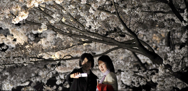 Cómo es la costumbre japonesa del hanami para calma el ruido mental