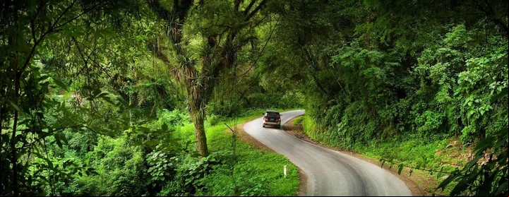 La ruta atraviesa la región de las Yungas, una selva de montaña de vegetación siempre verde. Foto: Agencia Noticias Argentinas.