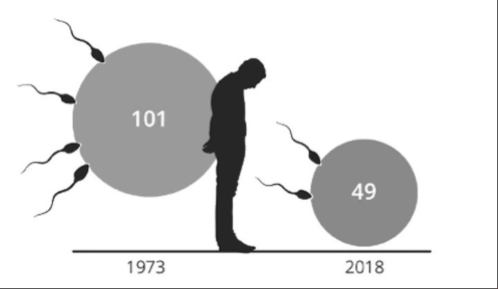 El empeoramiento de las estadísticas de fertilidad masculina en las últimas décadas (Sperm Racing).