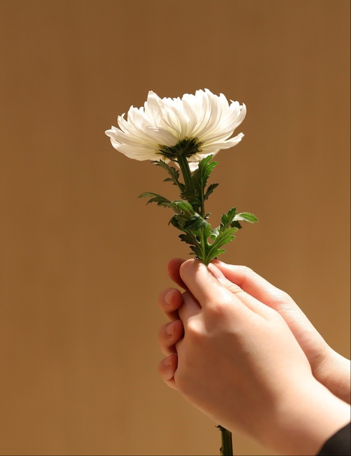 El funeral suele incluir una misa o ceremonias laicas y ofrendas. Foto: Pixabay.
