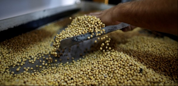 Soja: entre la esperanza de un acuerdo comercial y una realidad de débil demanda global