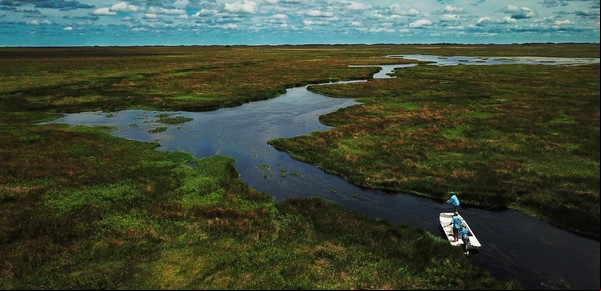 Las plantas carnívoras de Jurassic Plant, el pueblo fundado tres veces y la belleza del irupé